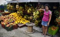 fruit for sale�